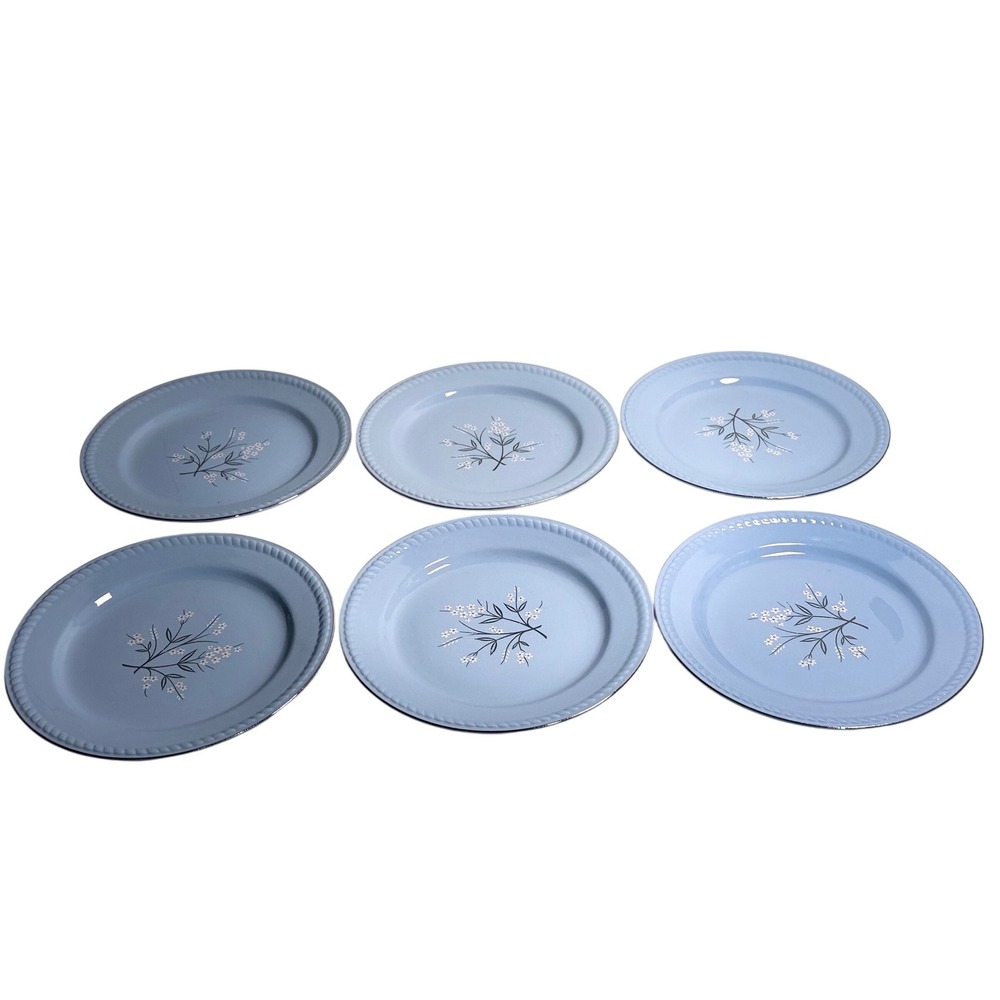 VTG Homer Laughlin Dinner Plates Kraft Blue Floral Set of 6 Mid Century 10 Inch